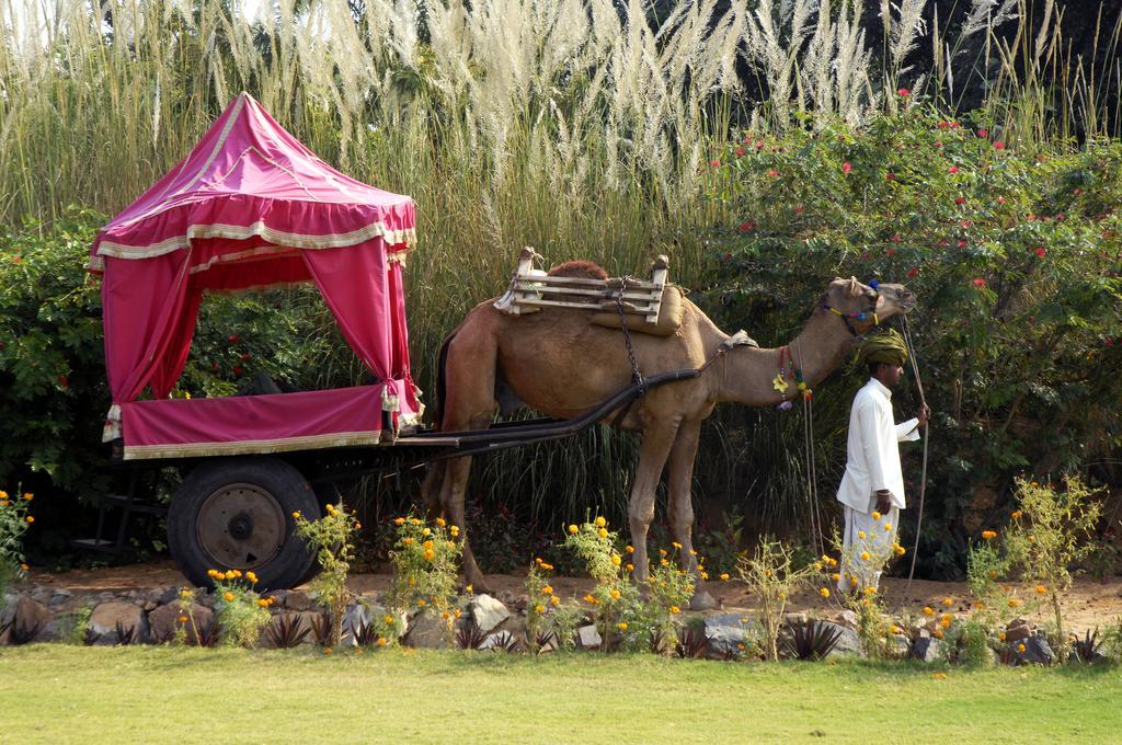 Pushkar Resort Экстерьер фото