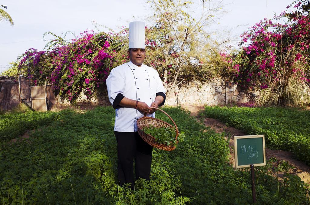 Pushkar Resort Экстерьер фото