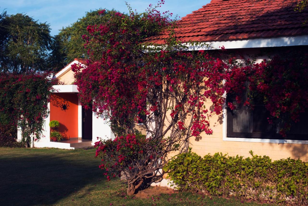 Pushkar Resort Экстерьер фото