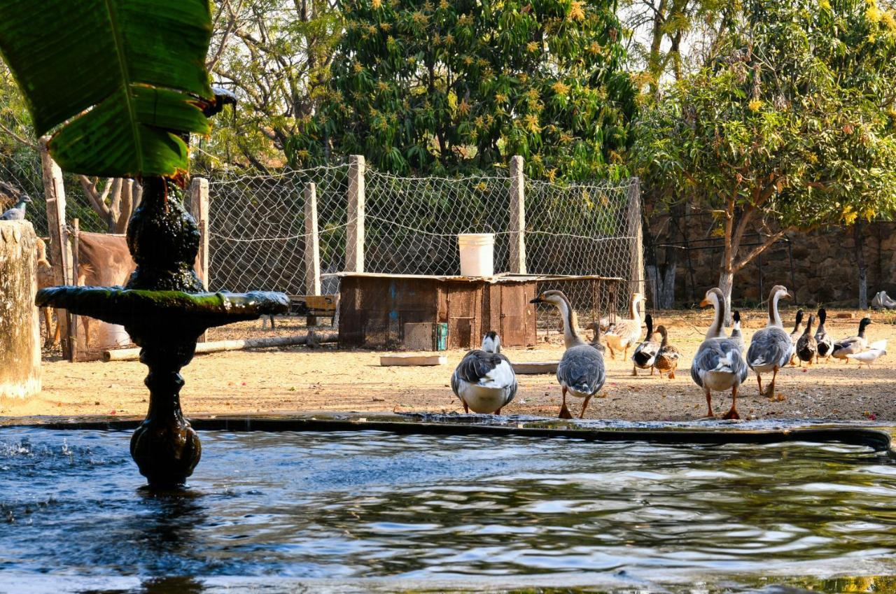 Pushkar Resort Экстерьер фото